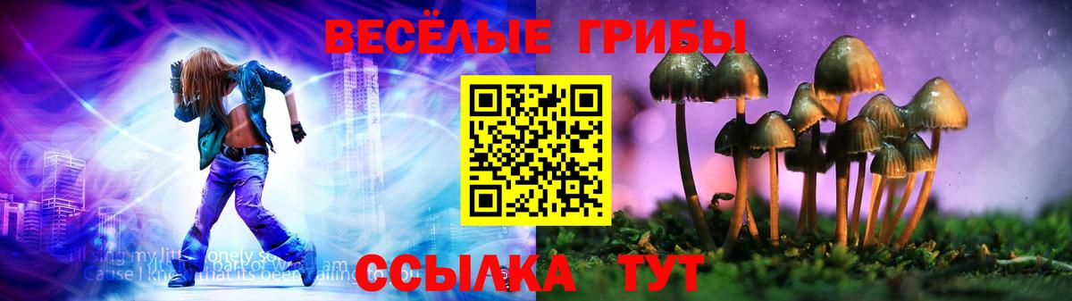 Псилоцибиновые грибы Psilocybine cubensis  закладки  Галлюциногенные грибы ЛСД  Муром  Вход с VPN 